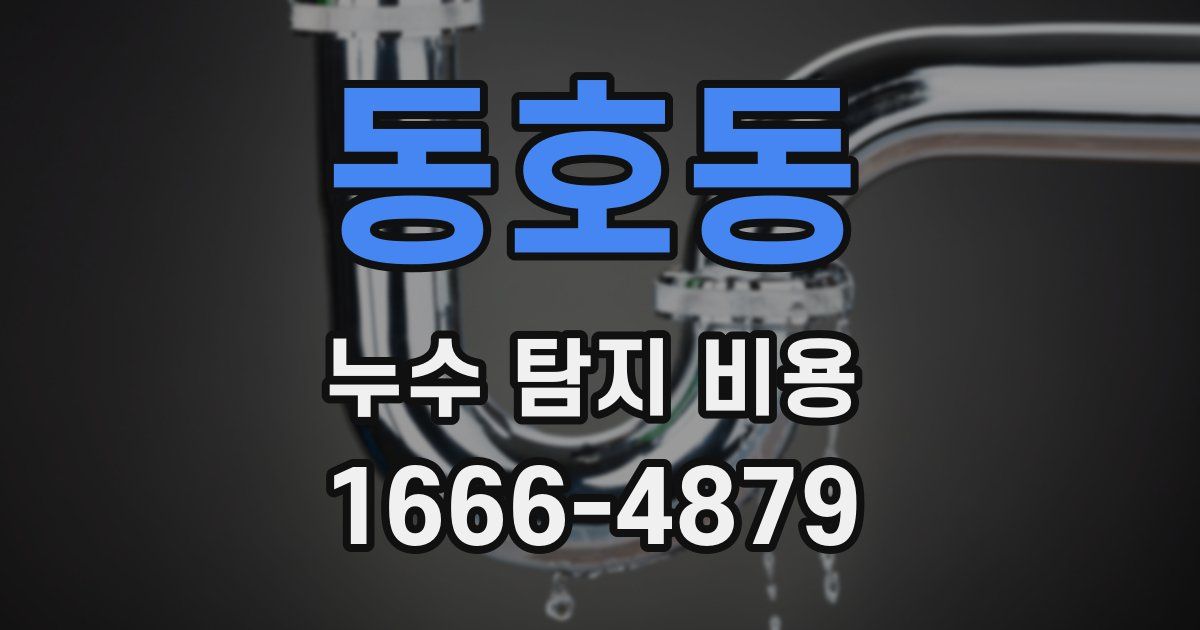 동호동 누수 탐지 비용