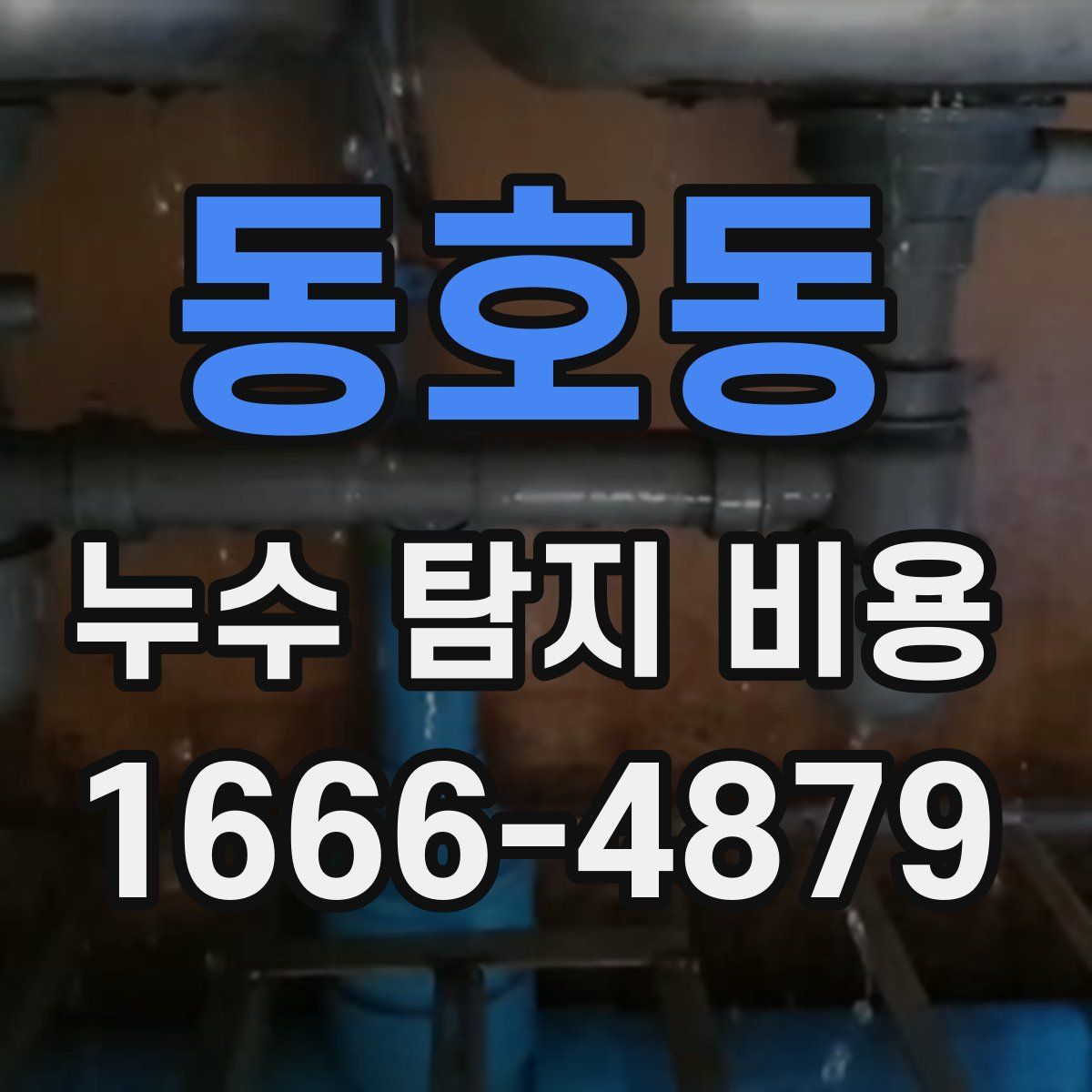 동호동 누수 탐지 비용