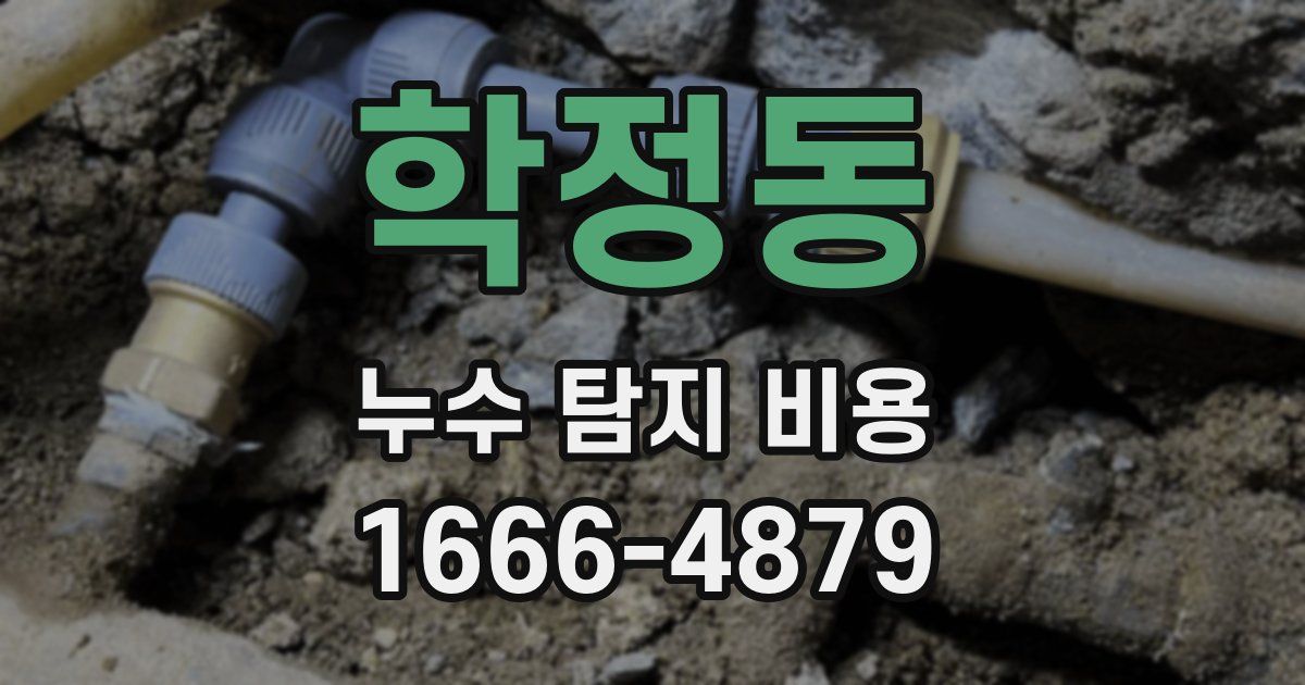 학정동 누수 탐지 비용