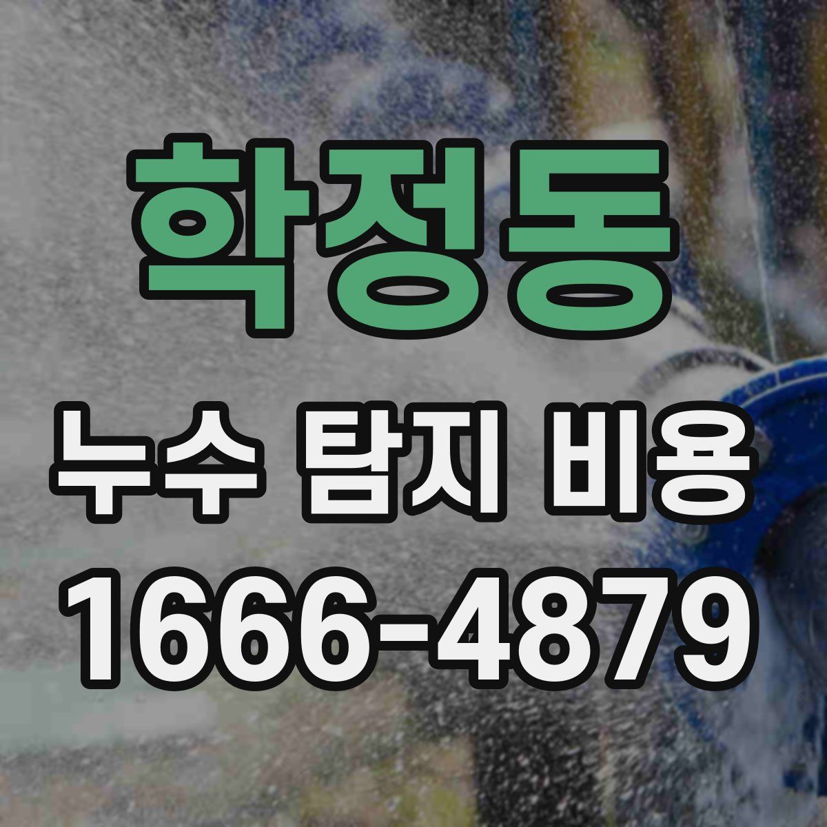 학정동 누수 탐지 비용