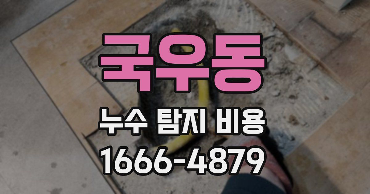 국우동 누수 탐지 비용