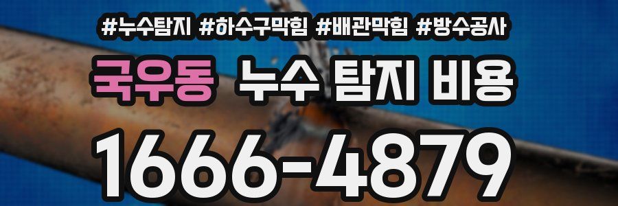 국우동 누수 탐지 비용