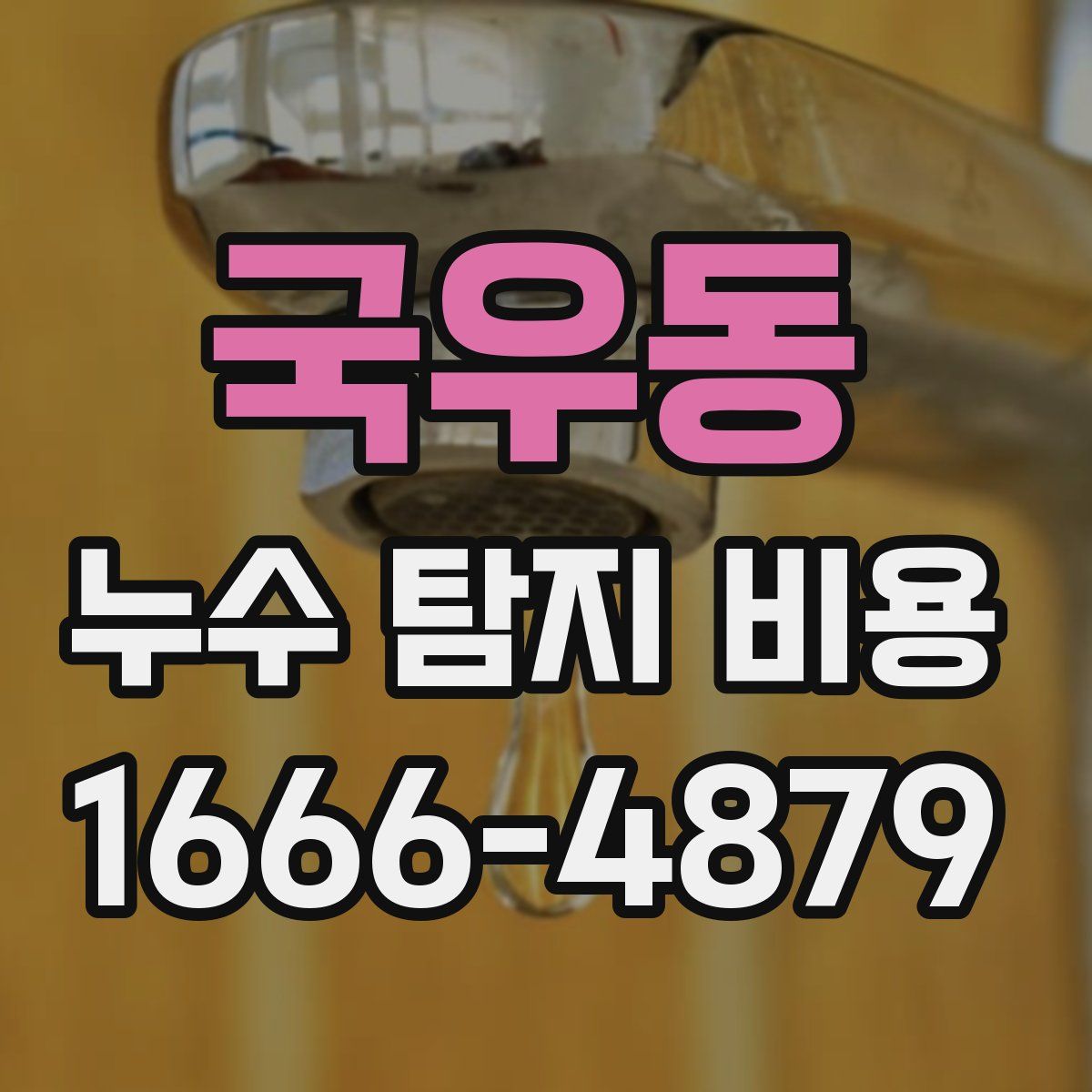 국우동 누수 탐지 비용