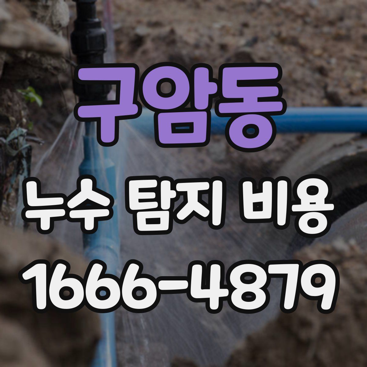 구암동 누수 탐지 비용