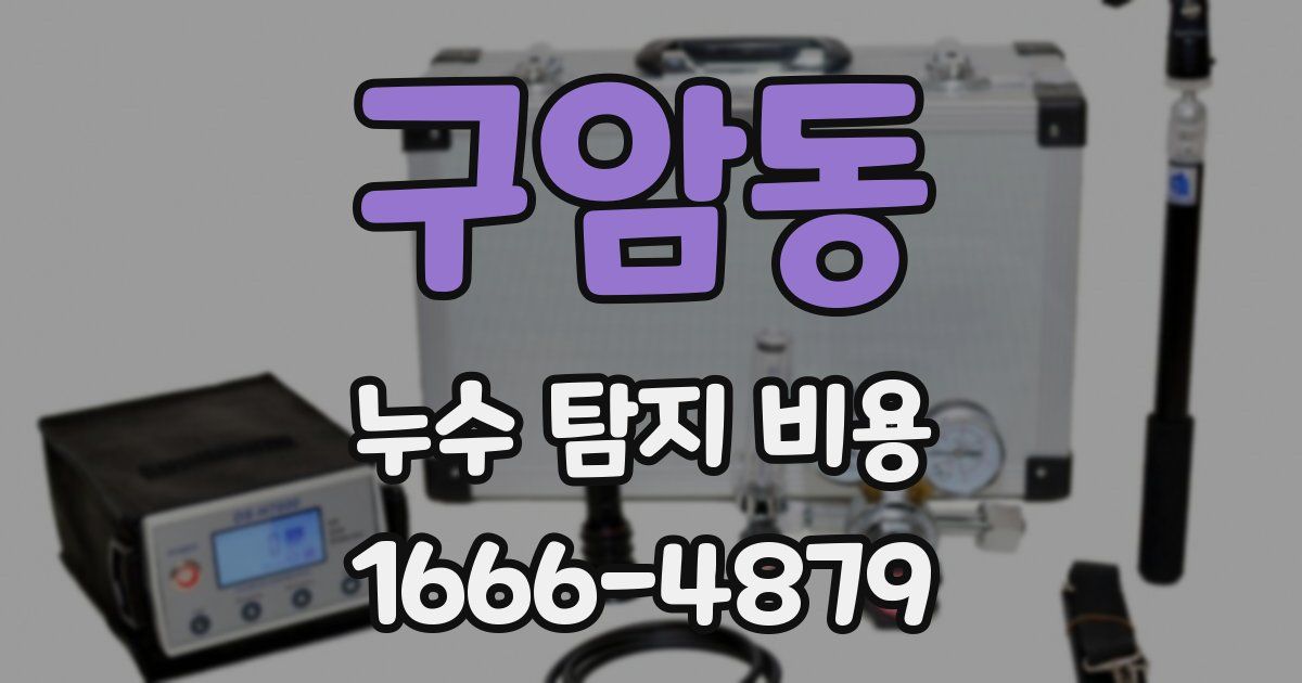 구암동 누수 탐지 비용