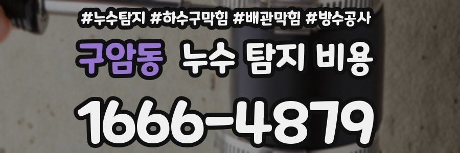 구암동 누수 탐지 비용