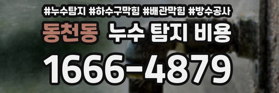 동천동 누수 탐지 비용
