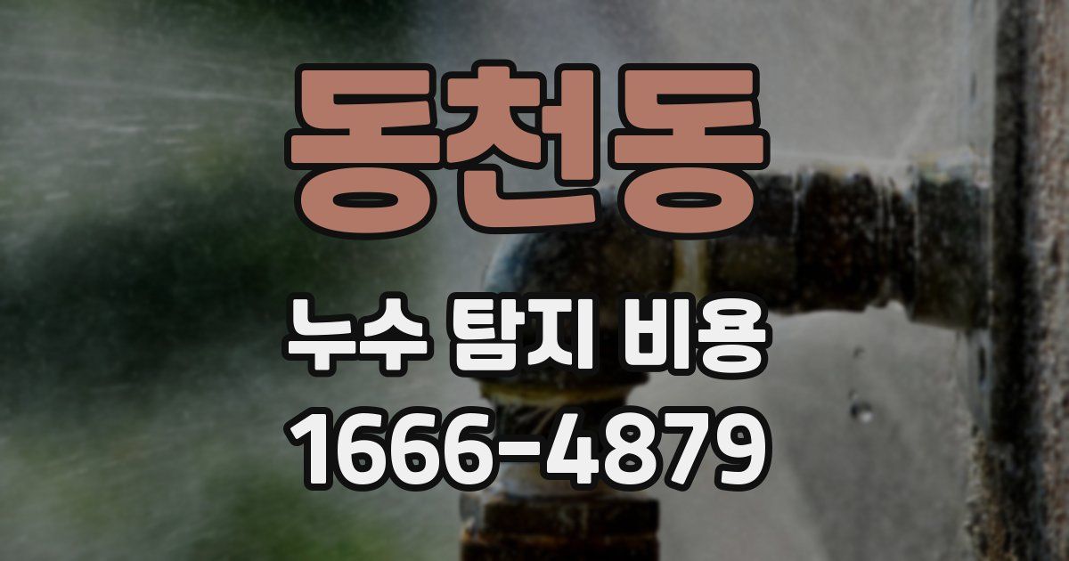 동천동 누수 탐지 비용