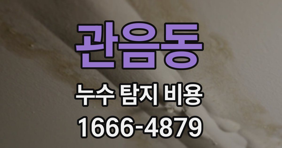 관음동 누수 탐지 비용