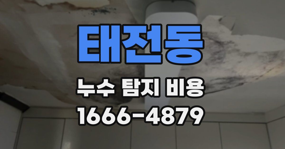 태전동 누수 탐지 비용