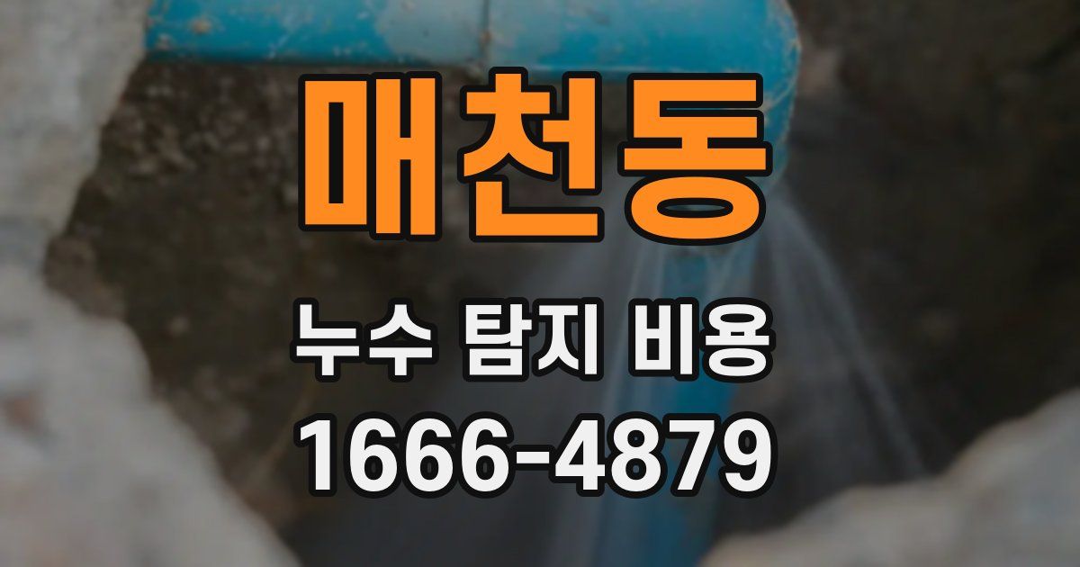 매천동 누수 탐지 비용