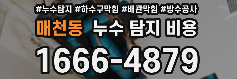 매천동 누수 탐지 비용