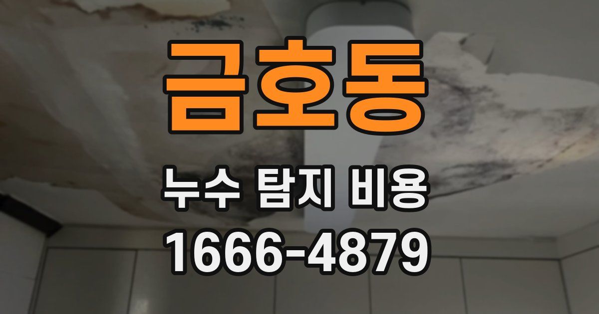 금호동 누수 탐지 비용