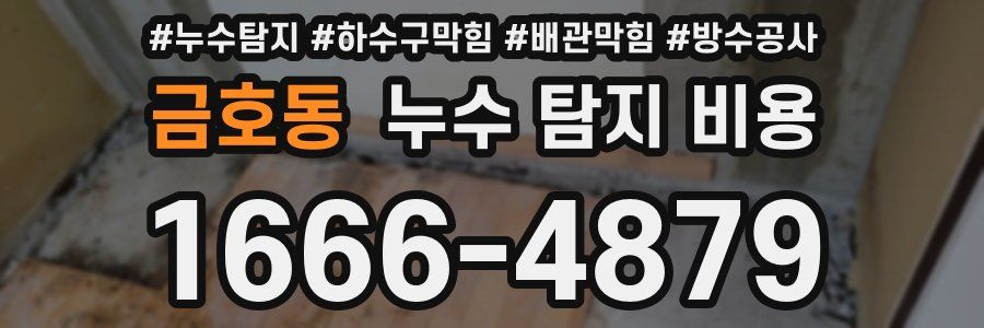 금호동 누수 탐지 비용