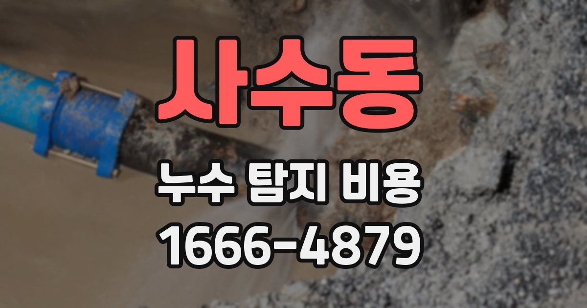 사수동 누수 탐지 비용