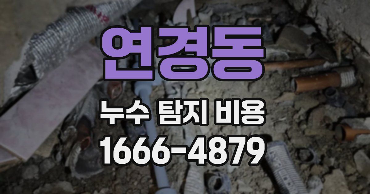 연경동 누수 탐지 비용