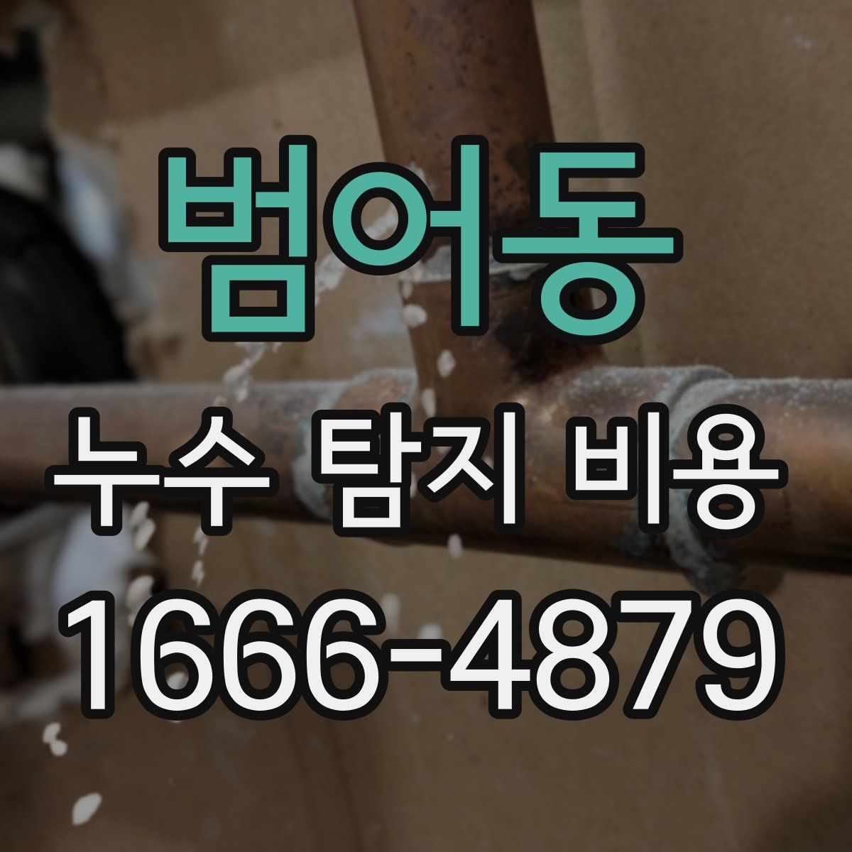 범어동 누수 탐지 비용