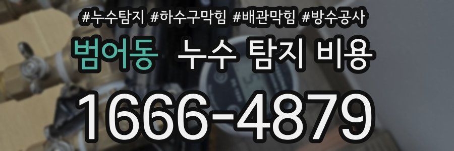 범어동 누수 탐지 비용