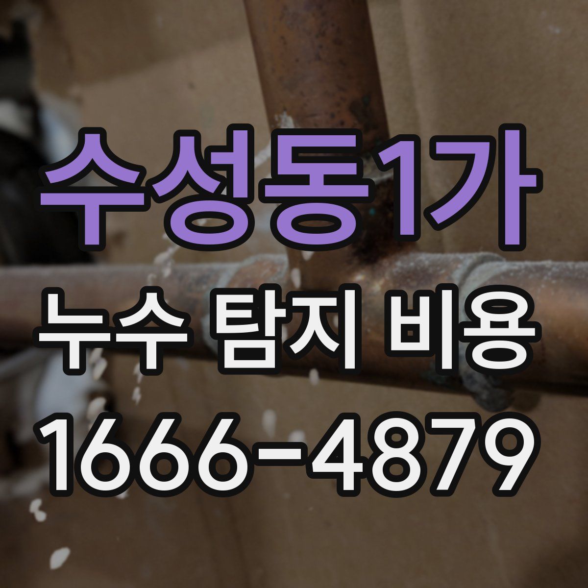 수성동1가 누수 탐지 비용