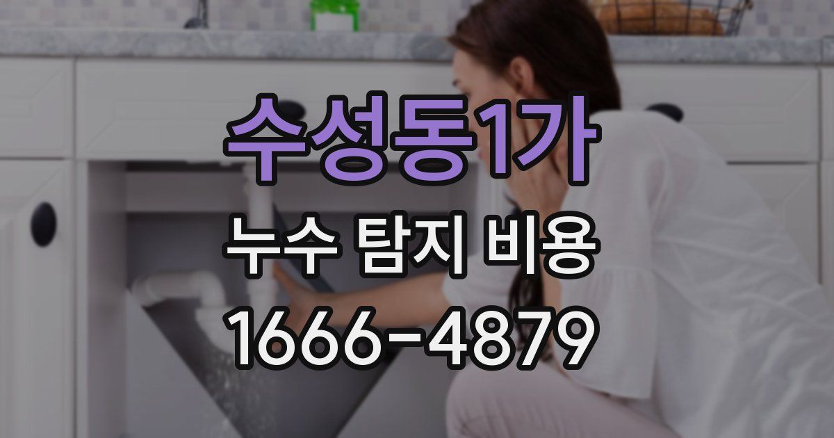 수성동1가 누수 탐지 비용