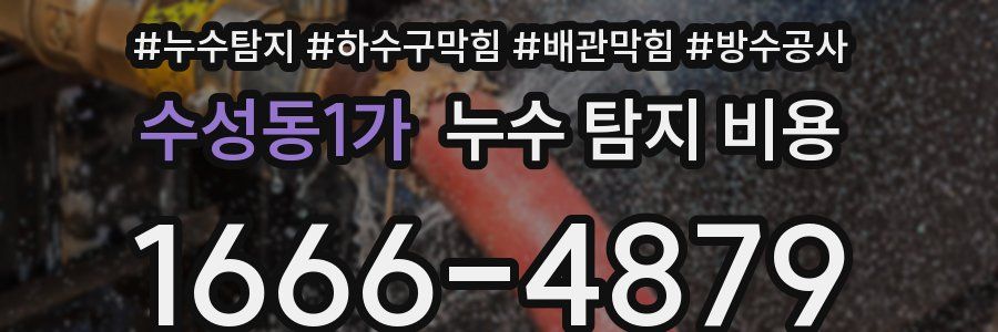수성동1가 누수 탐지 비용