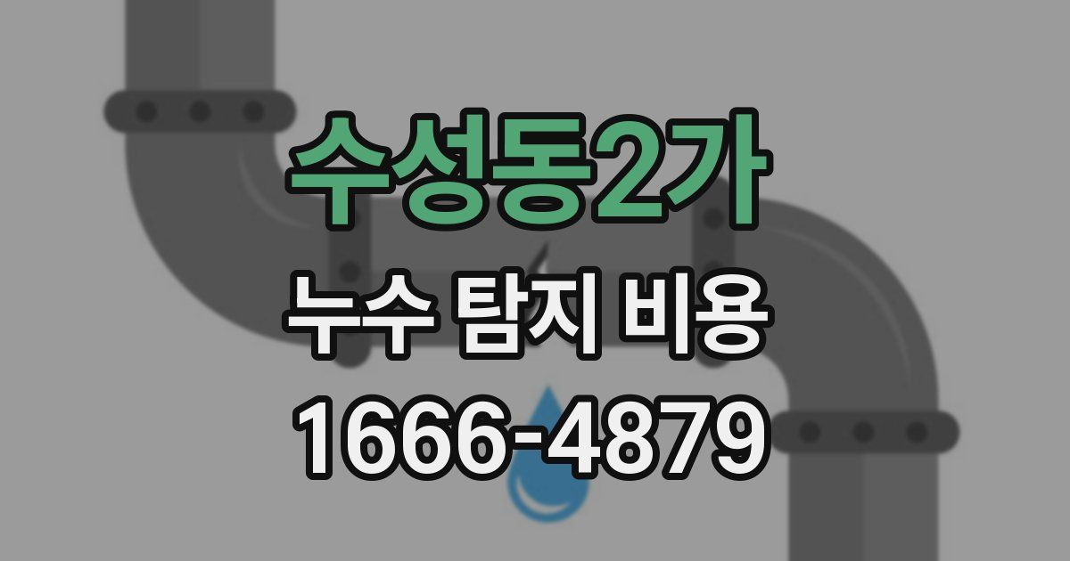 수성동2가 누수 탐지 비용