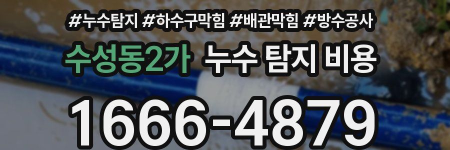 수성동2가 누수 탐지 비용