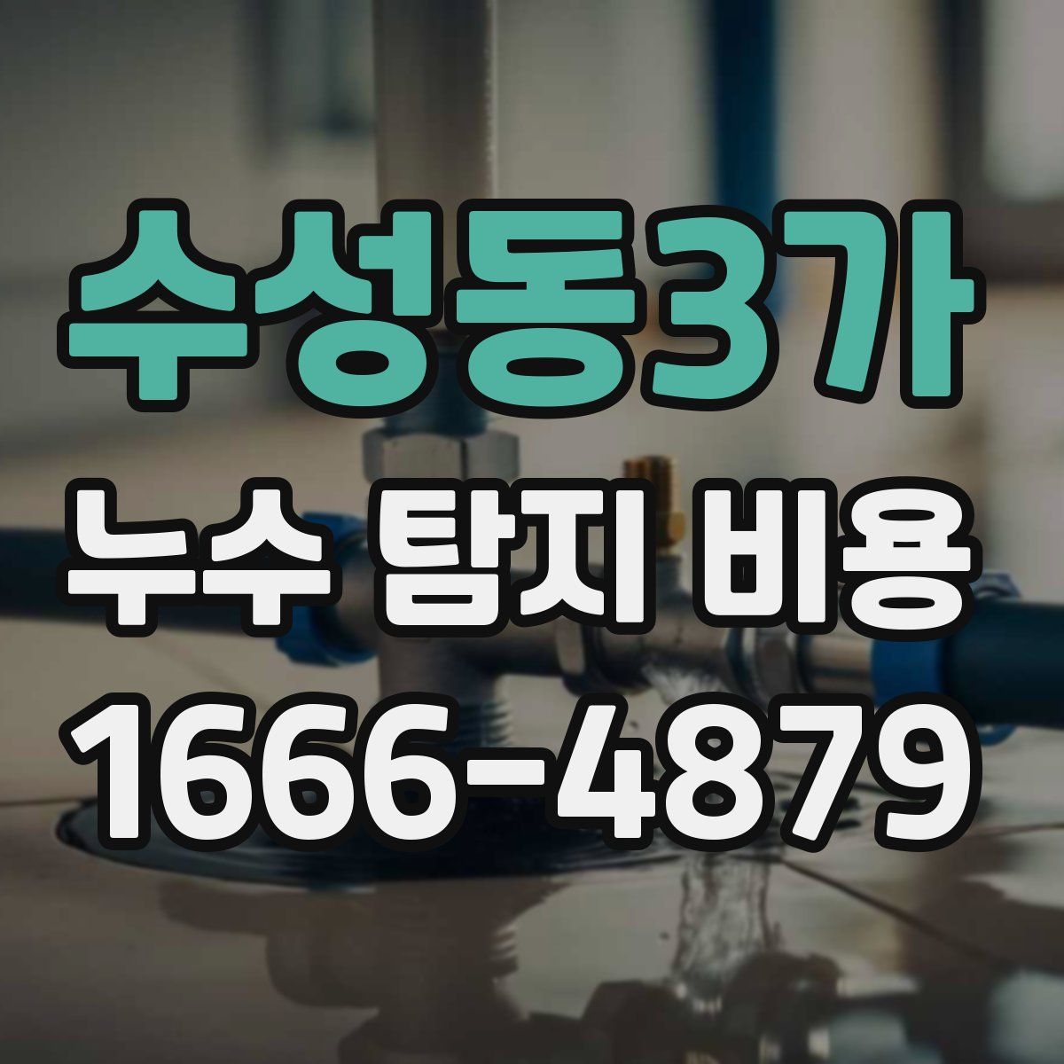 수성동3가 누수 탐지 비용