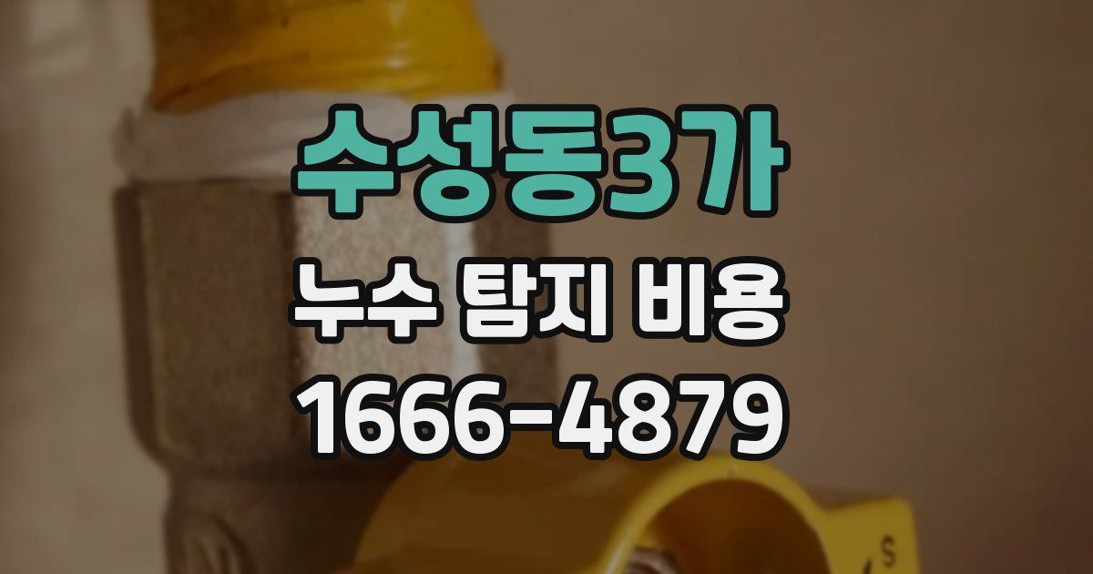 수성동3가 누수 탐지 비용