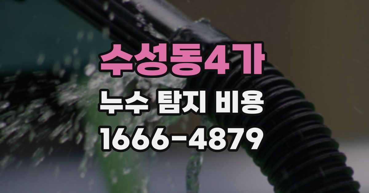 수성동4가 누수 탐지 비용