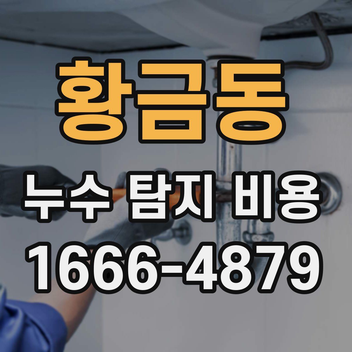 황금동 누수 탐지 비용