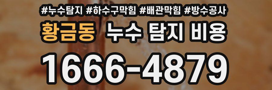 황금동 누수 탐지 비용
