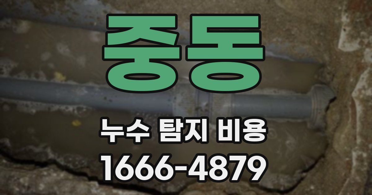 중동 누수 탐지 비용