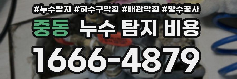 중동 누수 탐지 비용