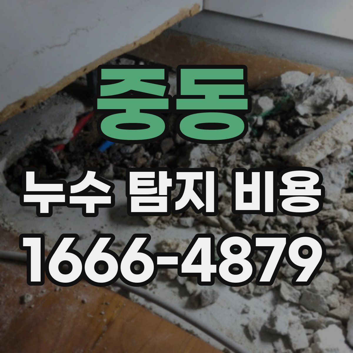 중동 누수 탐지 비용