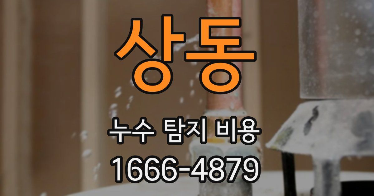 상동 누수 탐지 비용