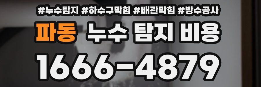 파동 누수 탐지 비용
