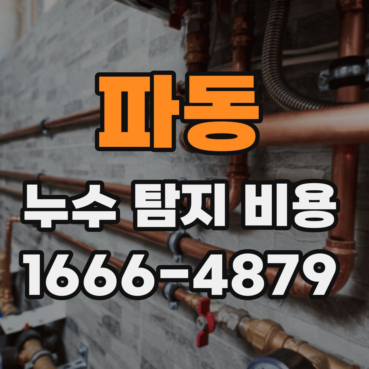 파동 누수 탐지 비용