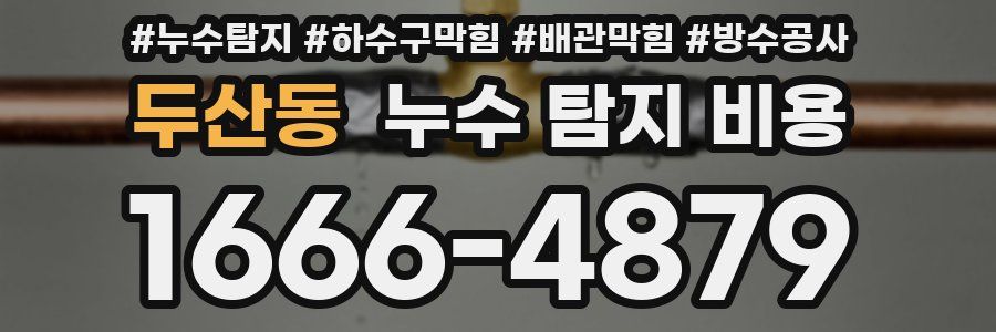 두산동 누수 탐지 비용