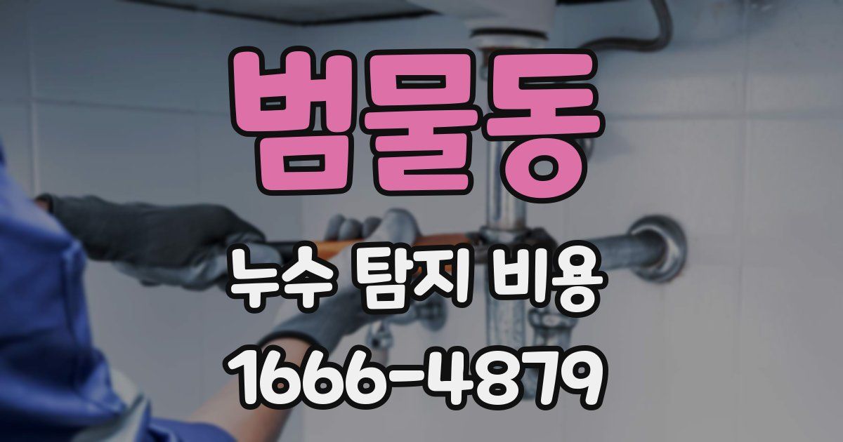 범물동 누수 탐지 비용