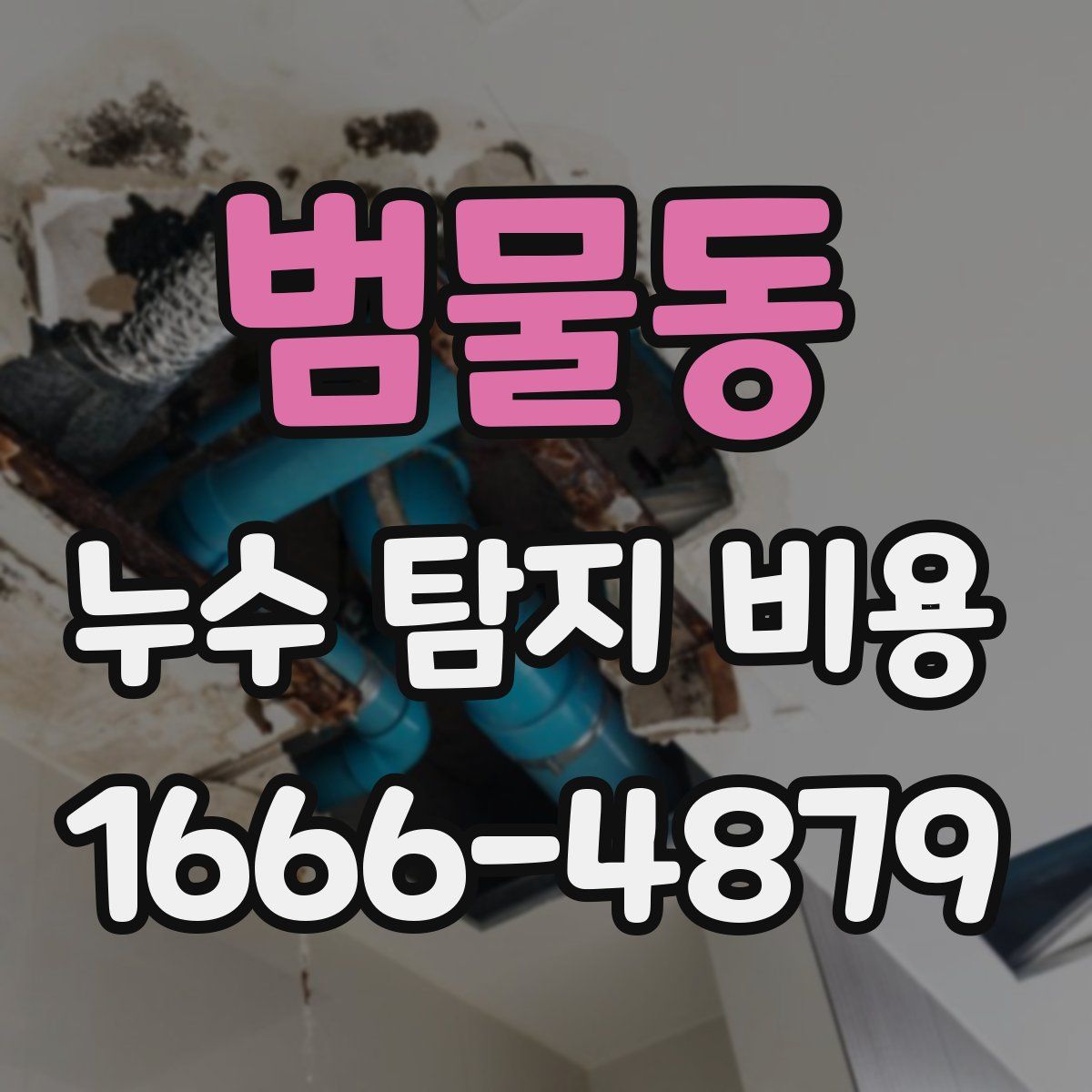 범물동 누수 탐지 비용