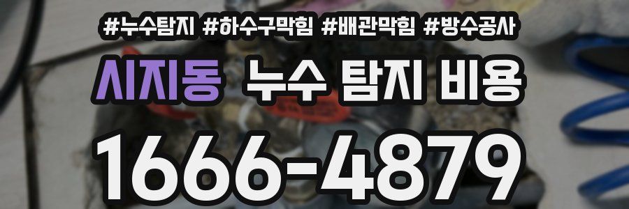 시지동 누수 탐지 비용