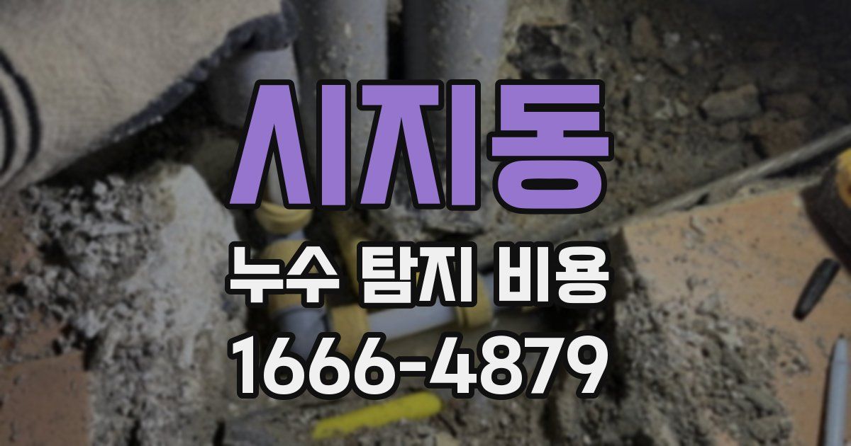시지동 누수 탐지 비용