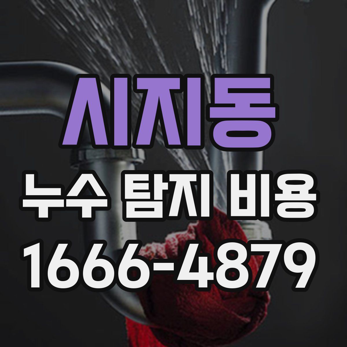 시지동 누수 탐지 비용