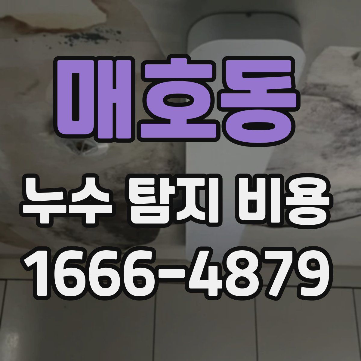 매호동 누수 탐지 비용