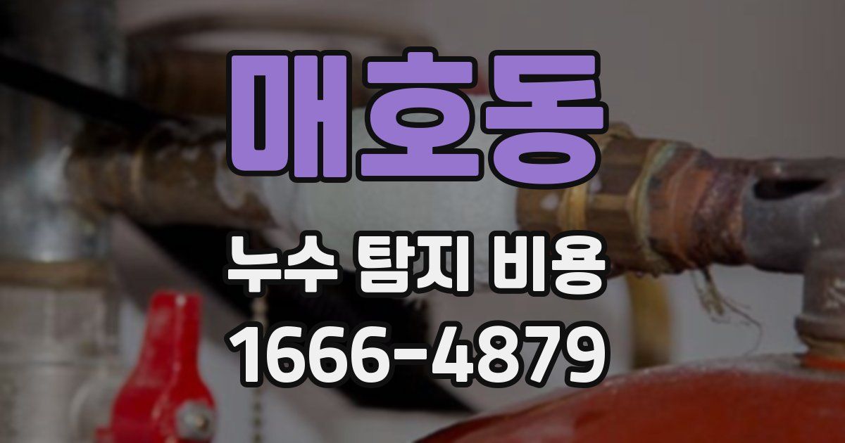 매호동 누수 탐지 비용