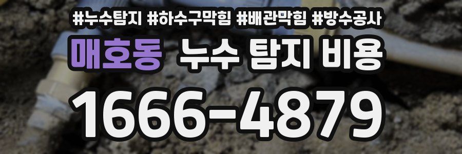 매호동 누수 탐지 비용