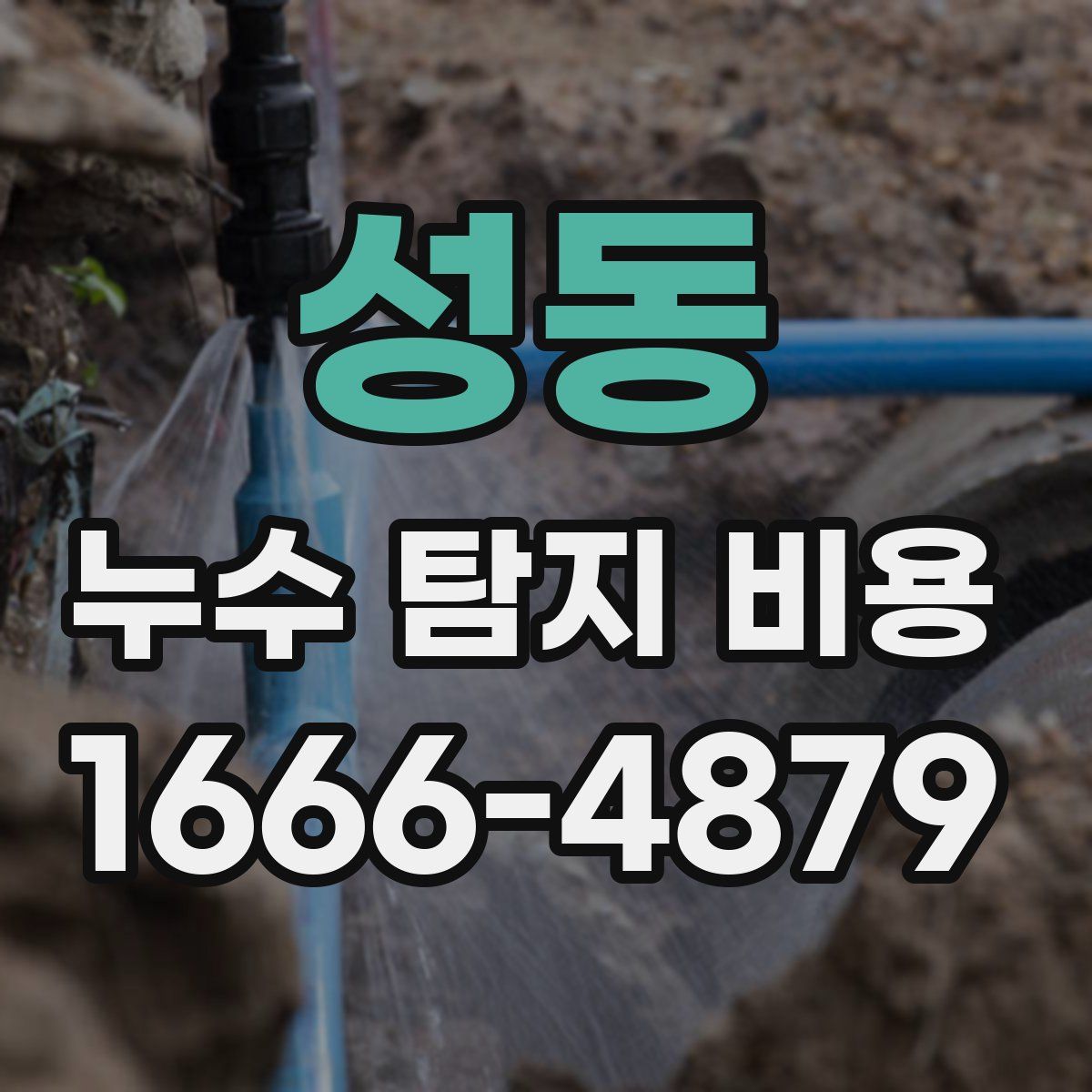 성동 누수 탐지 비용