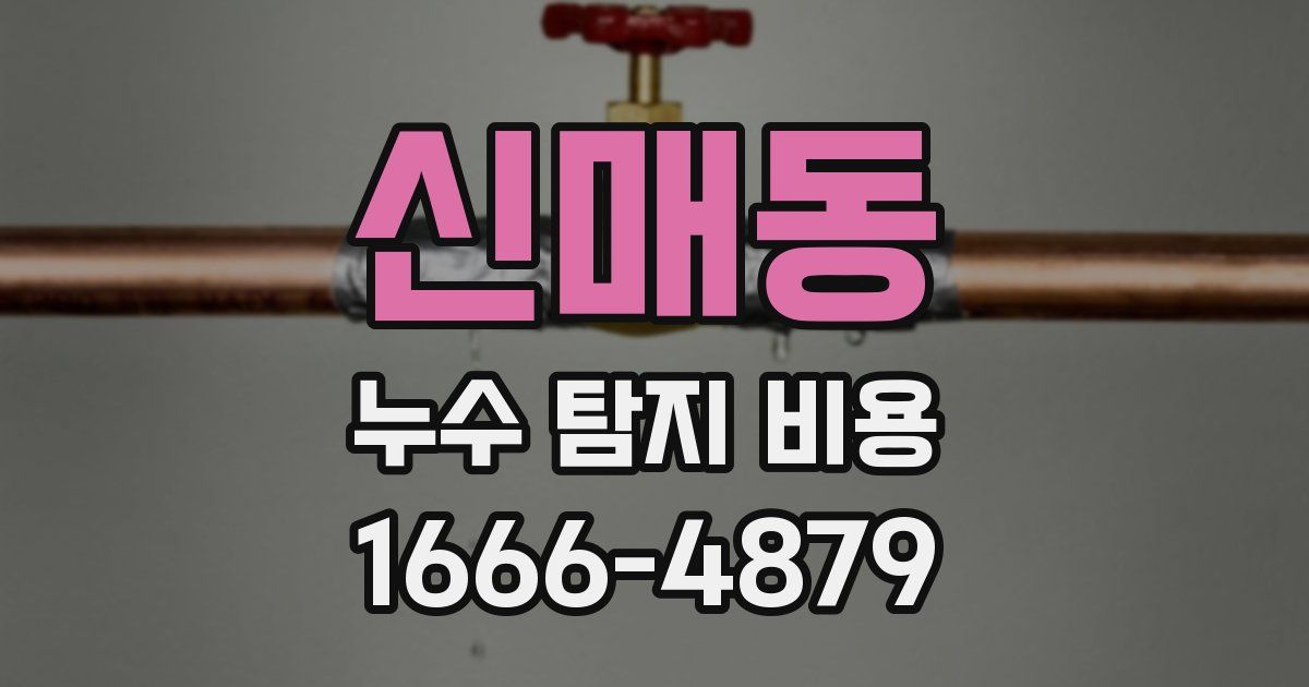 신매동 누수 탐지 비용