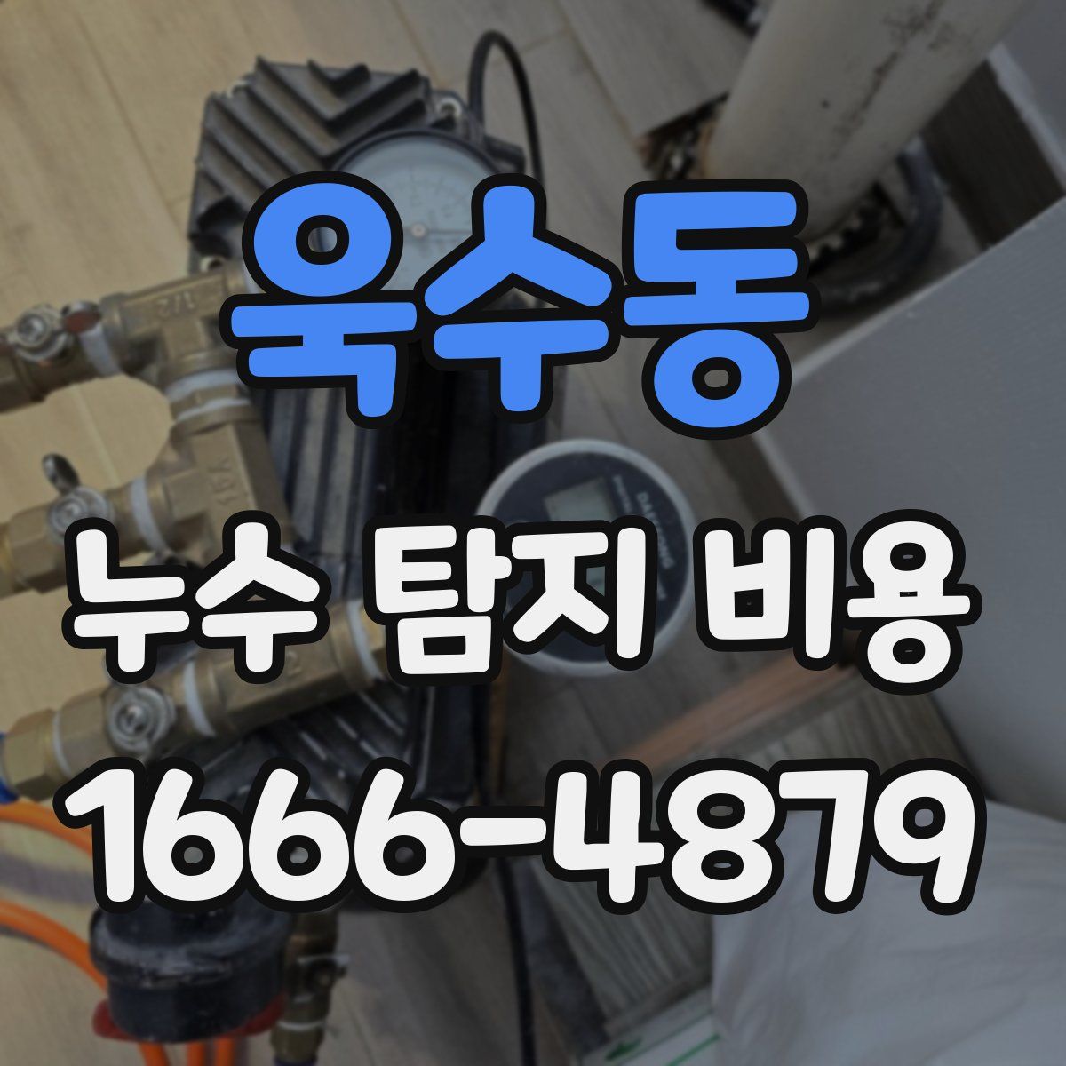 욱수동 누수 탐지 비용